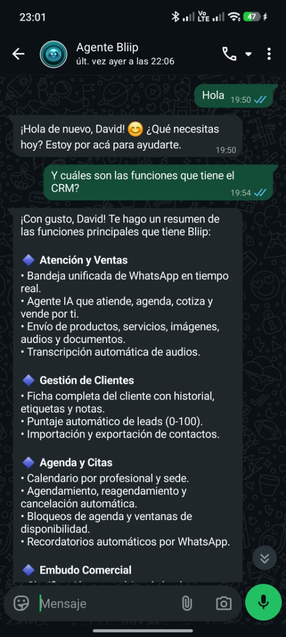 Conversación del Agente Bliip por WhatsApp